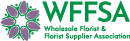 WFFSA Logo